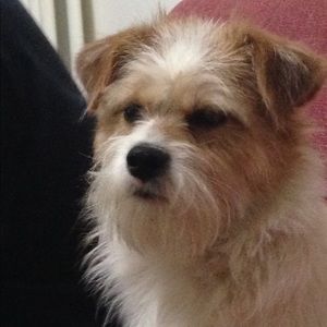 Meet your Posher, June